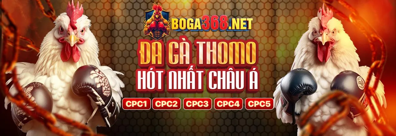 Đá Gà GA88 WIN 2026 - Trải nghiệm cá cược đá gà trực tuyến đỉnh cao